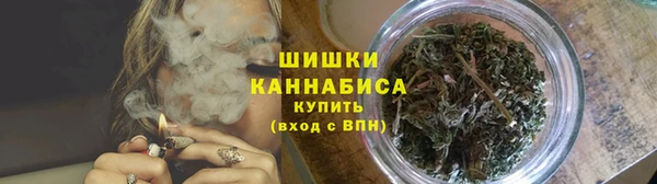 ПСИЛОЦИБИНОВЫЕ ГРИБЫ Алексин