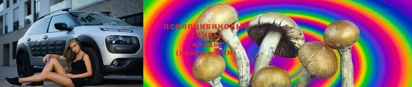 ПСИЛОЦИБИНОВЫЕ ГРИБЫ Алексин