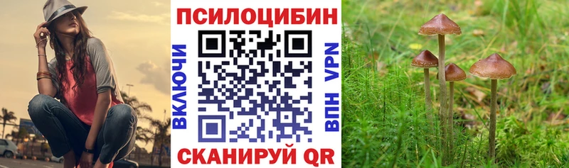 Галлюциногенные грибы Magic Shrooms Покров